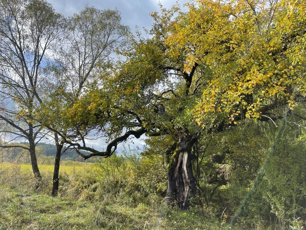 Kolejowy Smolnik Daire Smolnik  Dış mekan fotoğraf